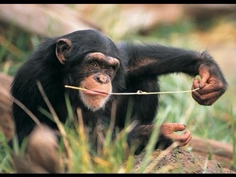 Tools May Have Changed but the Game’s Still the Same