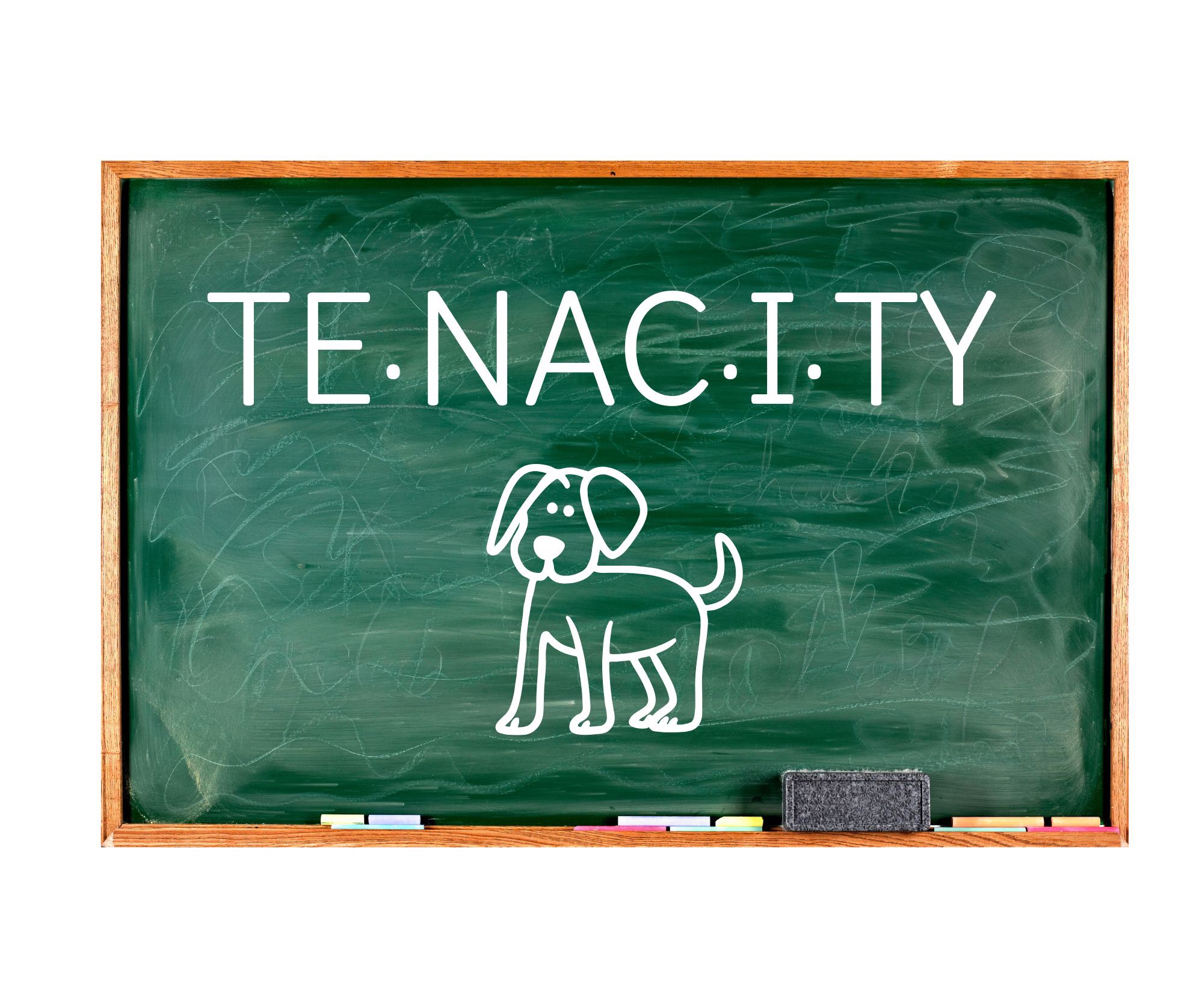 Tenacity – An Industry Requirement